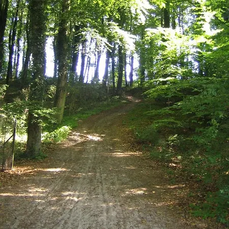 Bernsteinbaeder Lägenhet *