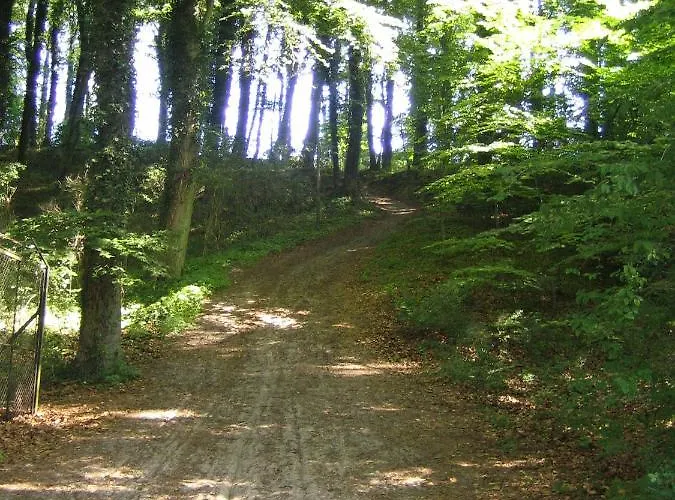 Bernsteinbaeder شقة *